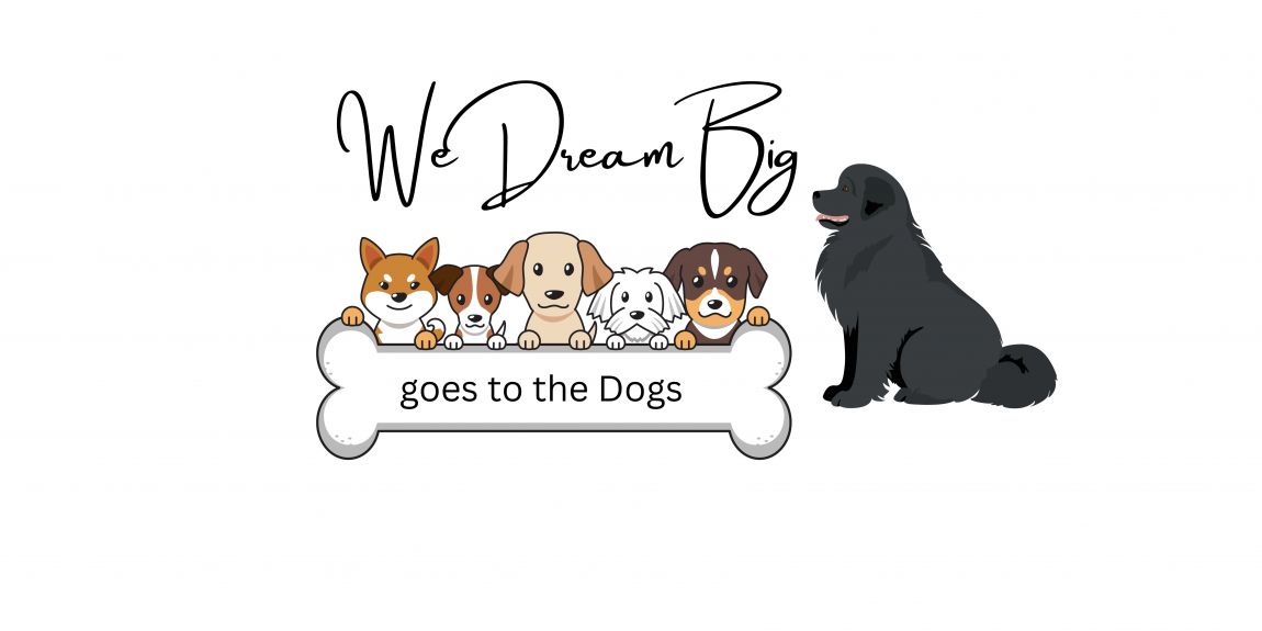 We Dream Big goes to the Dogs