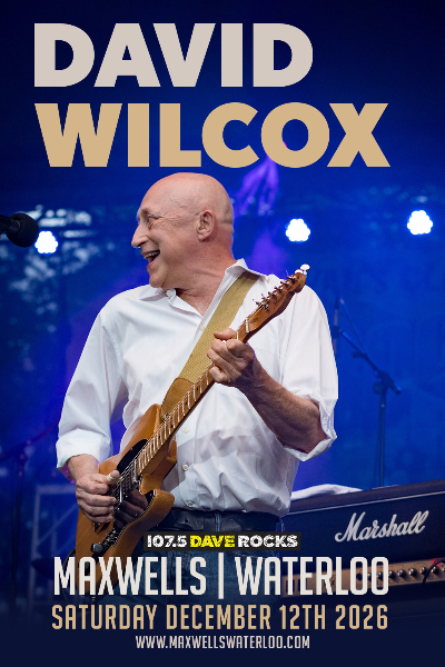 David Wilcox