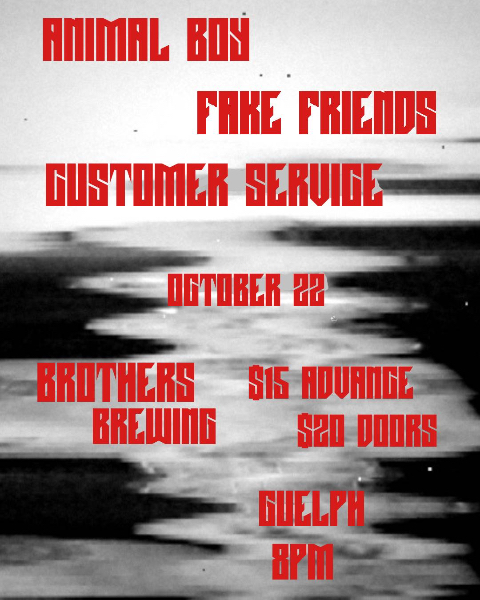 Animal Boy W/ The Fake Friends & Customer Service