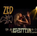 An evening with ZED - ...